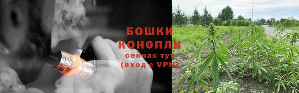 стаф Слюдянка