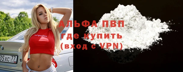 прущие грибы Армянск