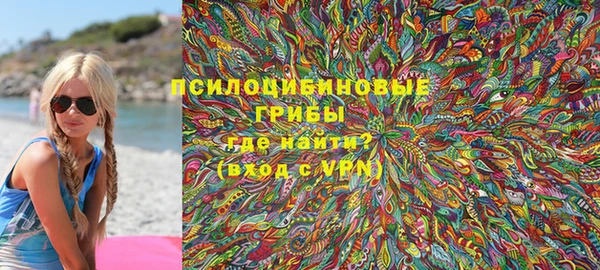 прущие грибы Армянск