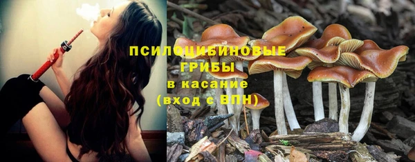 мефедрон Снежногорск