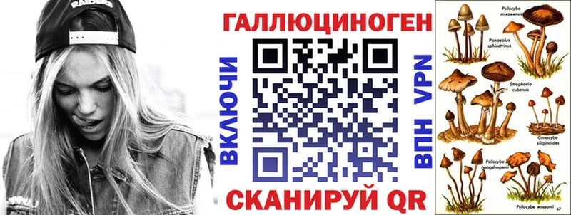закладки  Фрязино  Галлюциногенные грибы MAGIC MUSHROOMS 